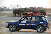 Botswana - Savute - Lada