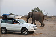 Botswana - Savute - Elephant - Safari Truck