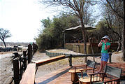 Botswana - Savute Safari Lodge - Waterhole - Elephant - Laura