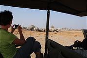 Botswana - Savute - Elephant - Laura