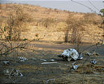 Botswana - Savute - Elephant Graveyard