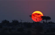 Botswana - Savute - Sundowner - Sunset