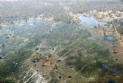 Botswana - Savute - Flight