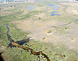 Botswana - Savute - Flight