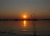 Botswana - Okavango - Sunset