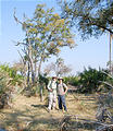 Botswana - Okavango - Walking Safari - Laura - Geoff