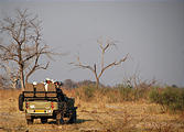 Botswana - Chobe - Safari Truck