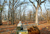 Botswana - Chobe - Safari Truck - Tracking Wild Dogs