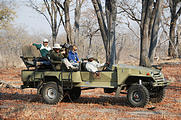 Botswana - Chobe - Safari Truck - Tracking Wild Dogs