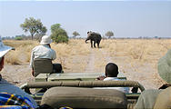 Botswana - Chobe - Safari Truck - Elephant