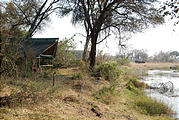 Botswana - Chobe - Kwando Lagoon Camp - Elephant