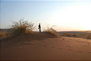 Namibia - Namib Dunes - Geoff