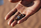 Namibia - Namib Dunes - Magnet, Showing Iron in Sand