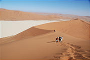 Namibia - Namib Dunes — Climbing "Big Daddy", aka "Crazy Dune" - Dead Vlei