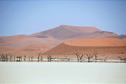Namibia - Namib Dunes - Dead Vlei