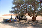 Namibia - Desert - Picnic Lunch - One of the few trees around