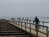 Namibia - Swakopmund - On the Jetty - Water Scientists - Old Section