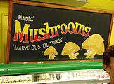 Namibia - Swakopmund - Veggie Store - Magic Mushrooms - Laura