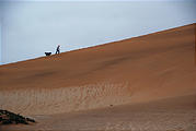 Namibia - Swakopmund - Tommy's Tour - Dunes - Dog Walkers exercising pets on the dunes