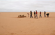 Namibia - Swakopmund - Tommy's Tour - Dunes