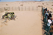Namibia - Swakopmund - Moon Landscape Tour - Giant Welwitschia - School Field Trip
