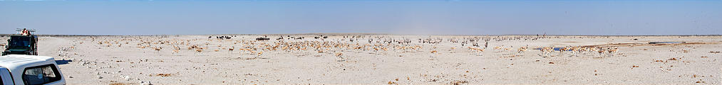 Namibia - Etosha National Park - Ozonjuitji m'Bari Waterhole