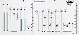 Namibia - Etosha Area - Ongava Main Lodge - Black Rhino Chart