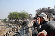 Namibia - Etosha National Park - Okaukuejo Waterhole - Laura