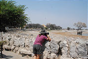 Namibia - Etosha National Park - Okaukuejo Waterhole