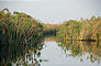 Botswana - Okavango