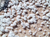 Salt Flat Salt Crystals Close Up (Leo's Photo)