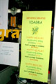 Ensenada Viagra Packages at Pharmacy