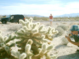 Driving to San Felipe - Desert Stop - Robin, Leo Photographing Prickly Plant