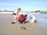 San Felipe - Robin, Leo, Tracey Digging for Clams