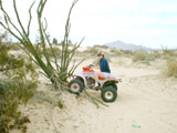 San Felipe - ATVs - Tracey Crashes into Cactus