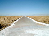 Driving North from San Felipe: Detour to see Salt Flats - Water at Salt Farm