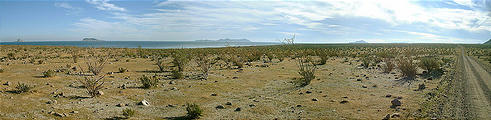 South of Puertecitos (panorama) (12/31/2001 9:07 AM)