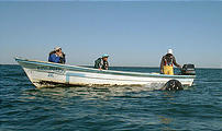 Laguna San Ignacio - Whale Watching - Nose (1/4/2002 11:22 AM)