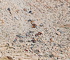 La Rumorosa - Curvy Switchbacks - Wrecked cars fallen from road (close-up)