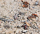 La Rumorosa - Curvy Switchbacks - Wrecked cars fallen from road (more close-up)