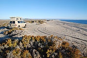 Estero Percebú (Shell Island) - Beach - Sportsmobile