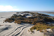 Estero Percebú (Shell Island) - Beach - Looking South