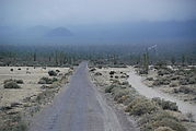 Road south of Bahía de los Angleles