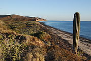 San Rafael - Camping - Beach - Cactus