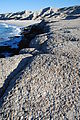 Playa Morro Blanco - Bahía San Rafael - Fossils in Rocks