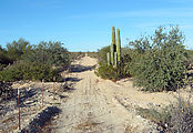 El Barril - Long straight trail inside fence