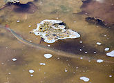 Estero Delgadito - End of Peninsula - Beach - Tidepool - Fish