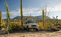 Cactus Forest - Sportsmobile
