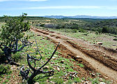 Baja - Mesa el Barreal - Road