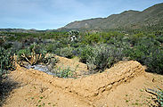 Baja - San Isidoro - Ruins - Adobe Walls